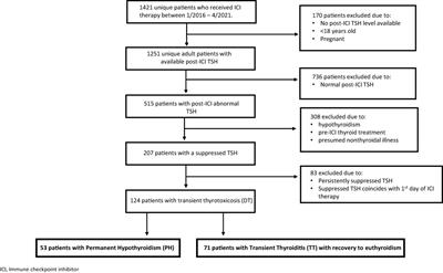 Permanent hypothyroidism following immune checkpoint inhibitors induced thyroiditis may be associated with improved survival: results of an exploratory study